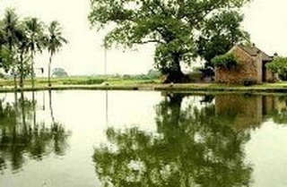 Chủ-Đề Hình Bóng Quê-Hương